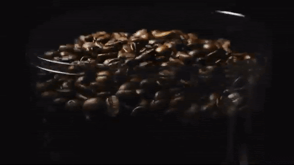 example of a montage