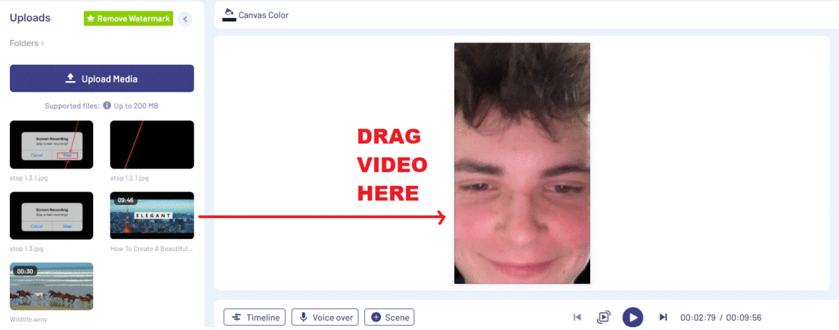 how to create the ill never forget you tiktok trend on inVideo_step 4
