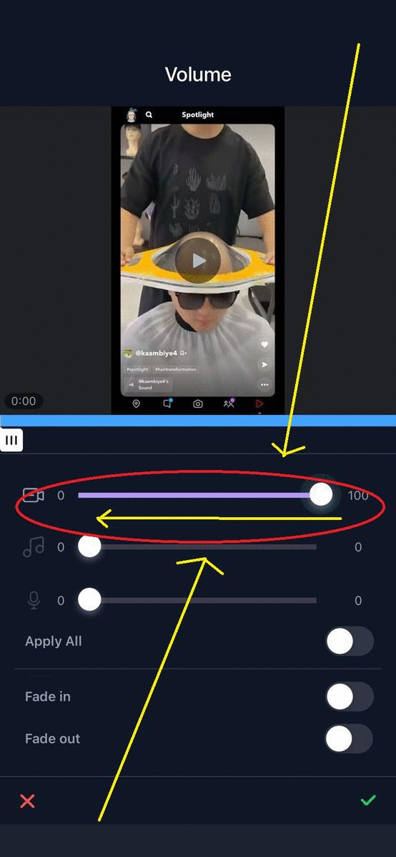 how to remove audio from video on iPhone using Filmr_step 3
