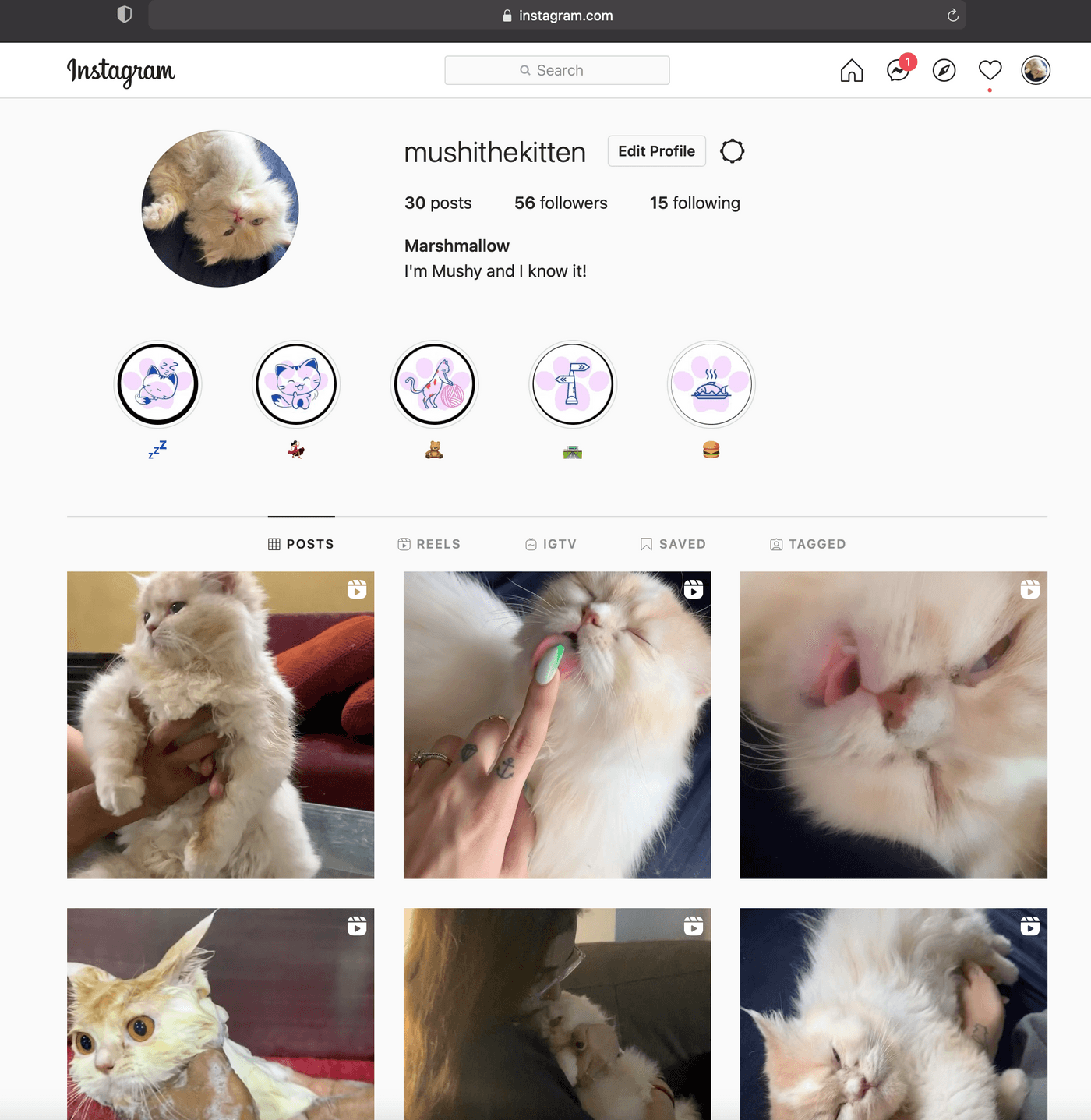 How to Post Pictures on Instagram from PC on Safari_ step 3