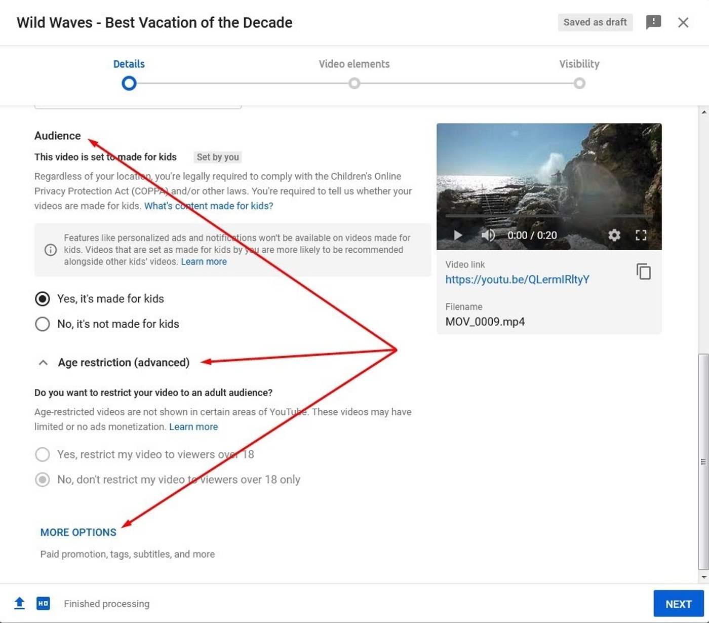 Como inserir detalhes da audiência do vídeo, restrição de idade e mais opções de configuração na hora de postar um vídeo no Youtube