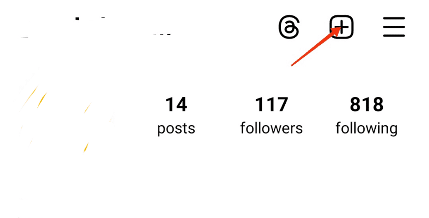 Instagram profile section showing 14 posts, 117 followers, 818 following, with a highlighted '+' icon.
