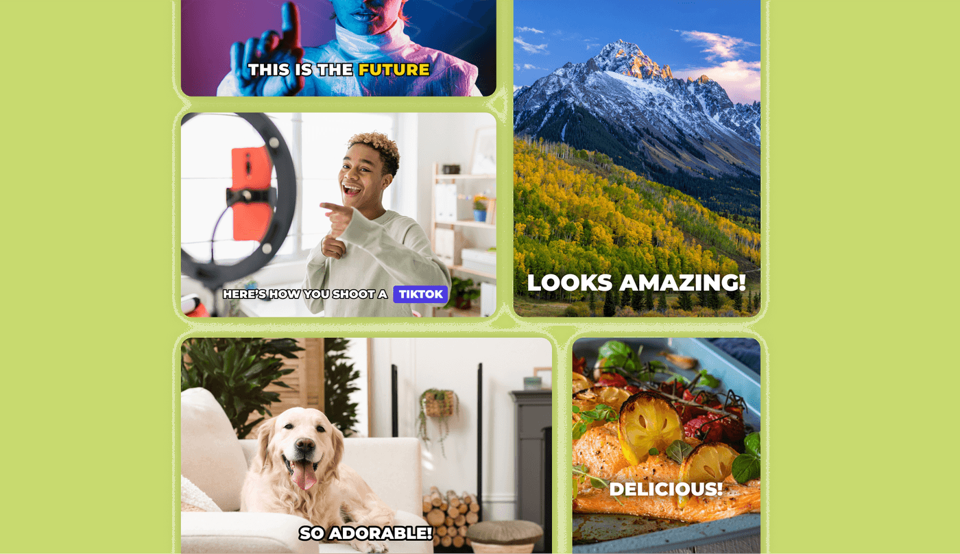Collage of futuristic, TikTok, mountain, dog, and food visuals.