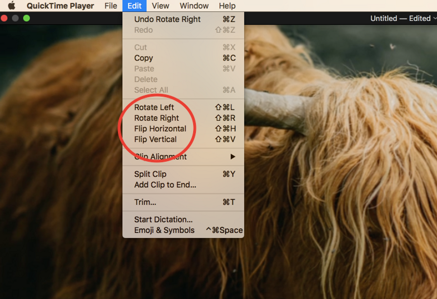 How to flip a video on Mac_step 2