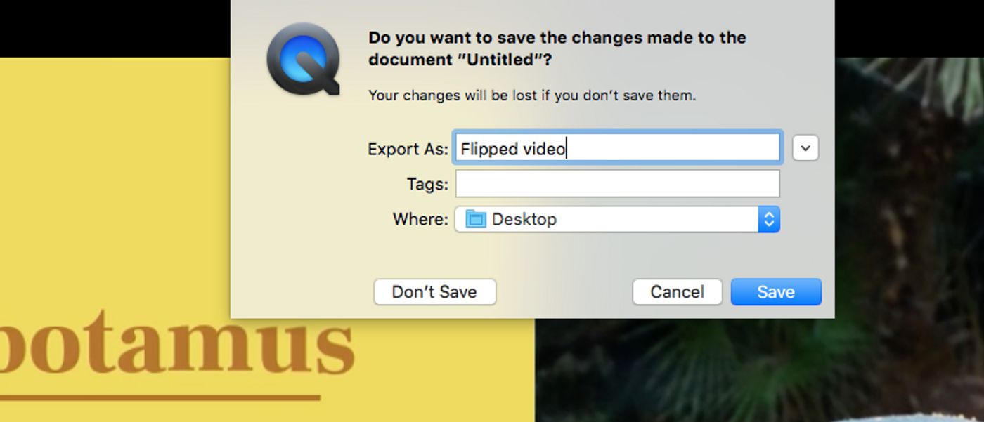 How to Flip/Mirror a Video in Under 5 Mins 5 Easy Ways that Work in 2024