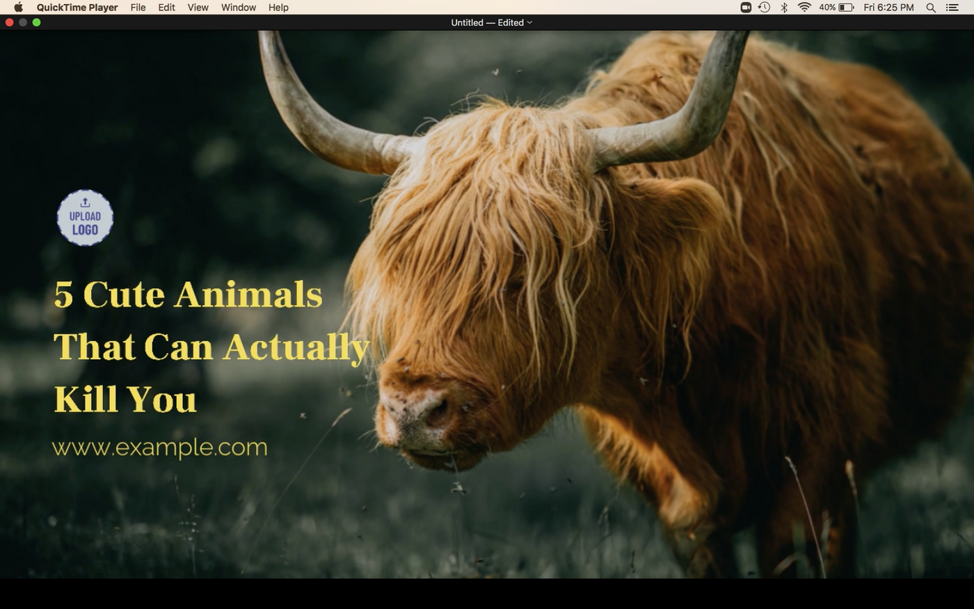 How to flip a video on Mac_step 1