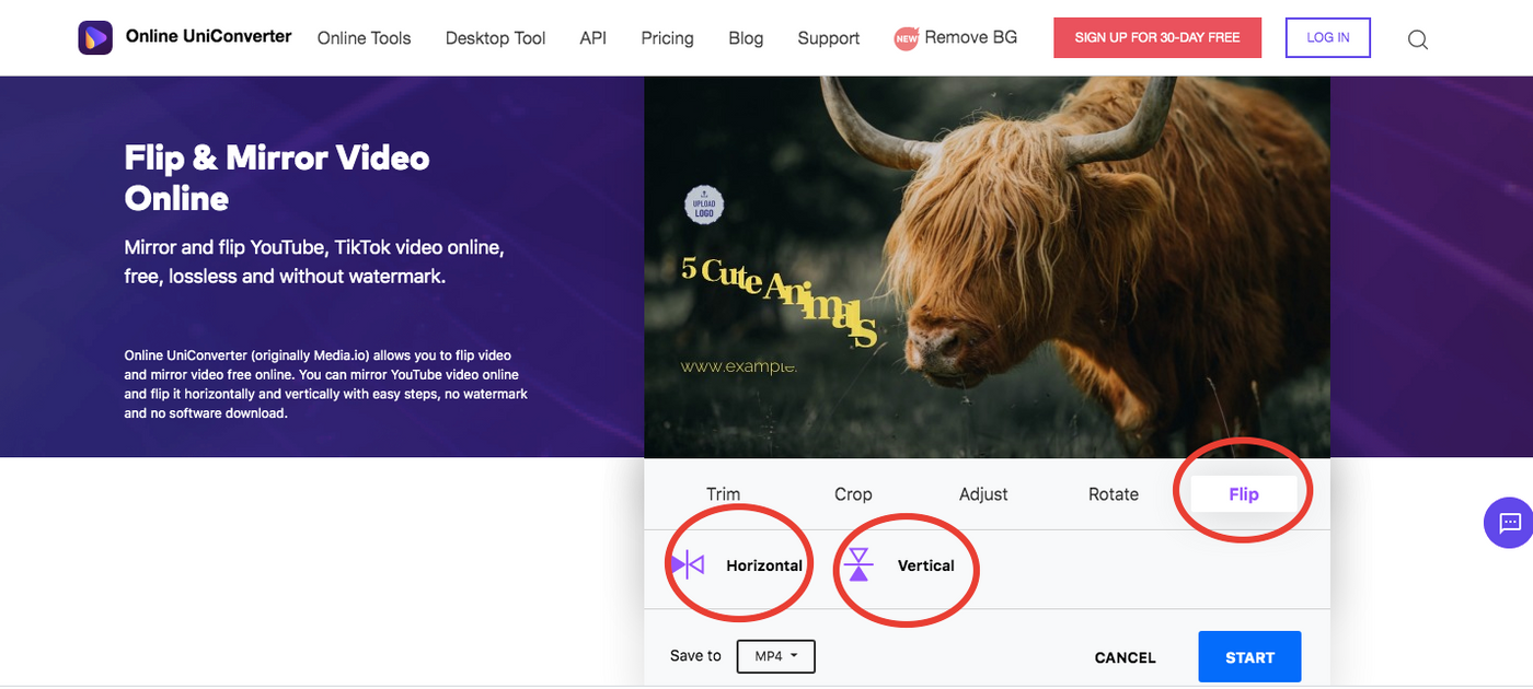 How to flip a video online_ step 2