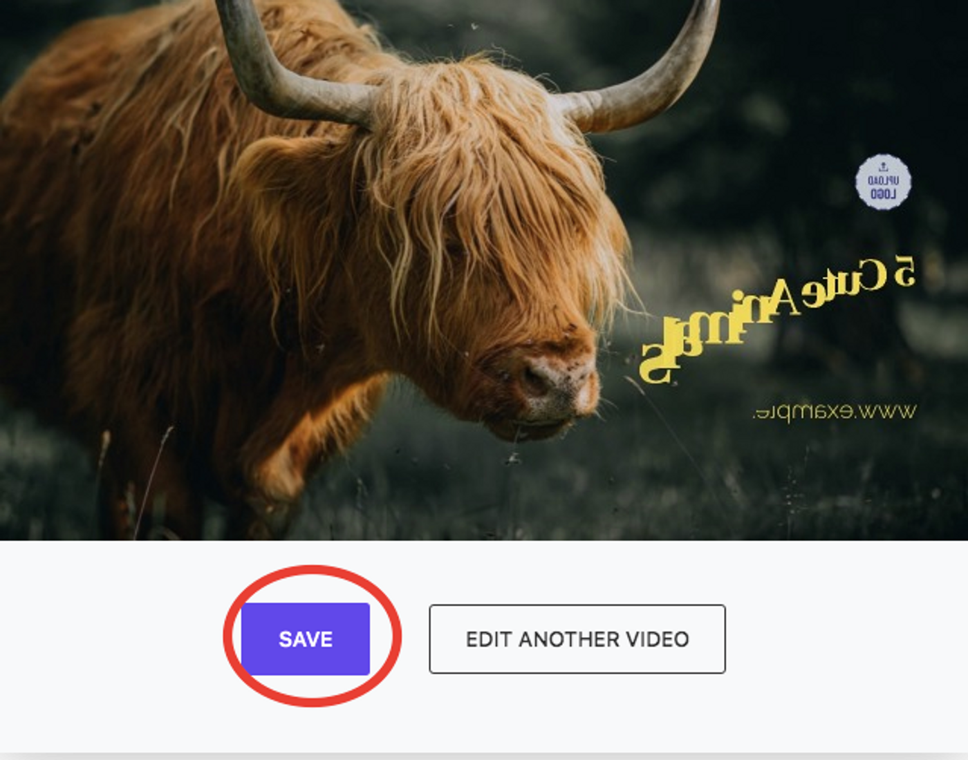 How to flip a video online_ step 4