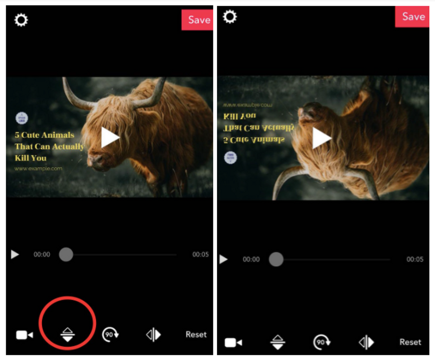 How to Flip/Mirror a Video in Under 5 Mins 5 Easy Ways that Work in 2024
