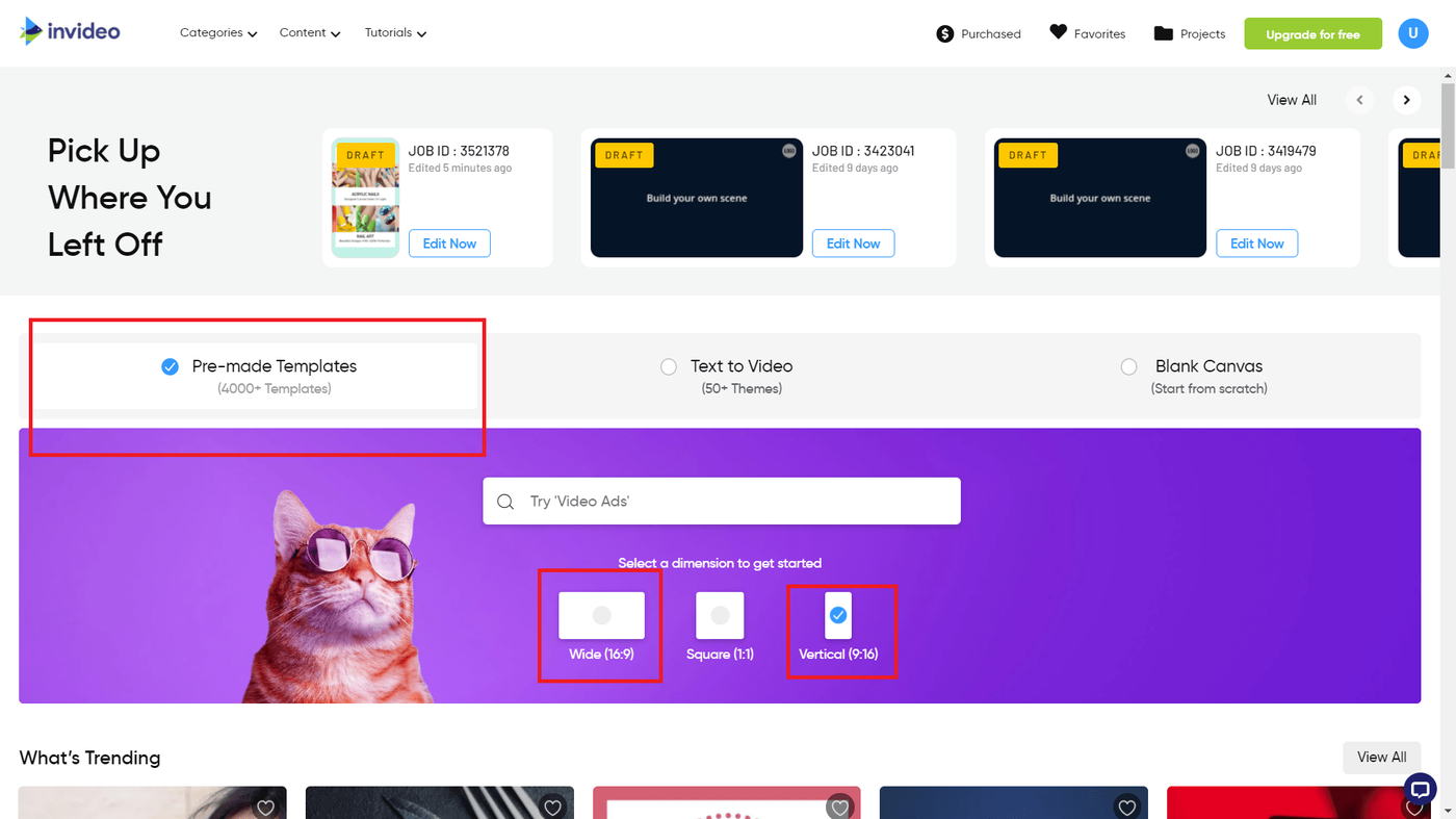 Templates grátis do Invideo