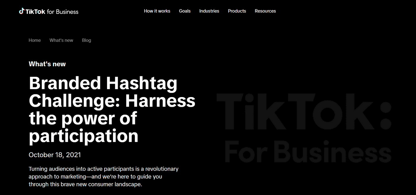 TikTok for Business page showing Branded Hashtag Challenge to engage users through participation.