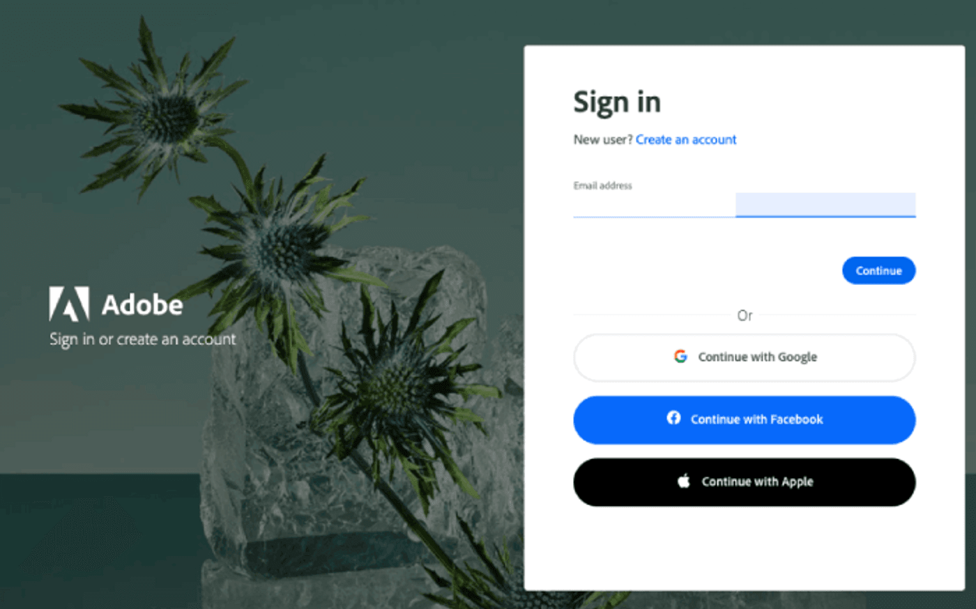 Intros para YouTube Adobe