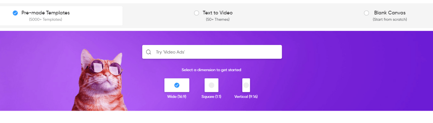 pre mode Templates invideo