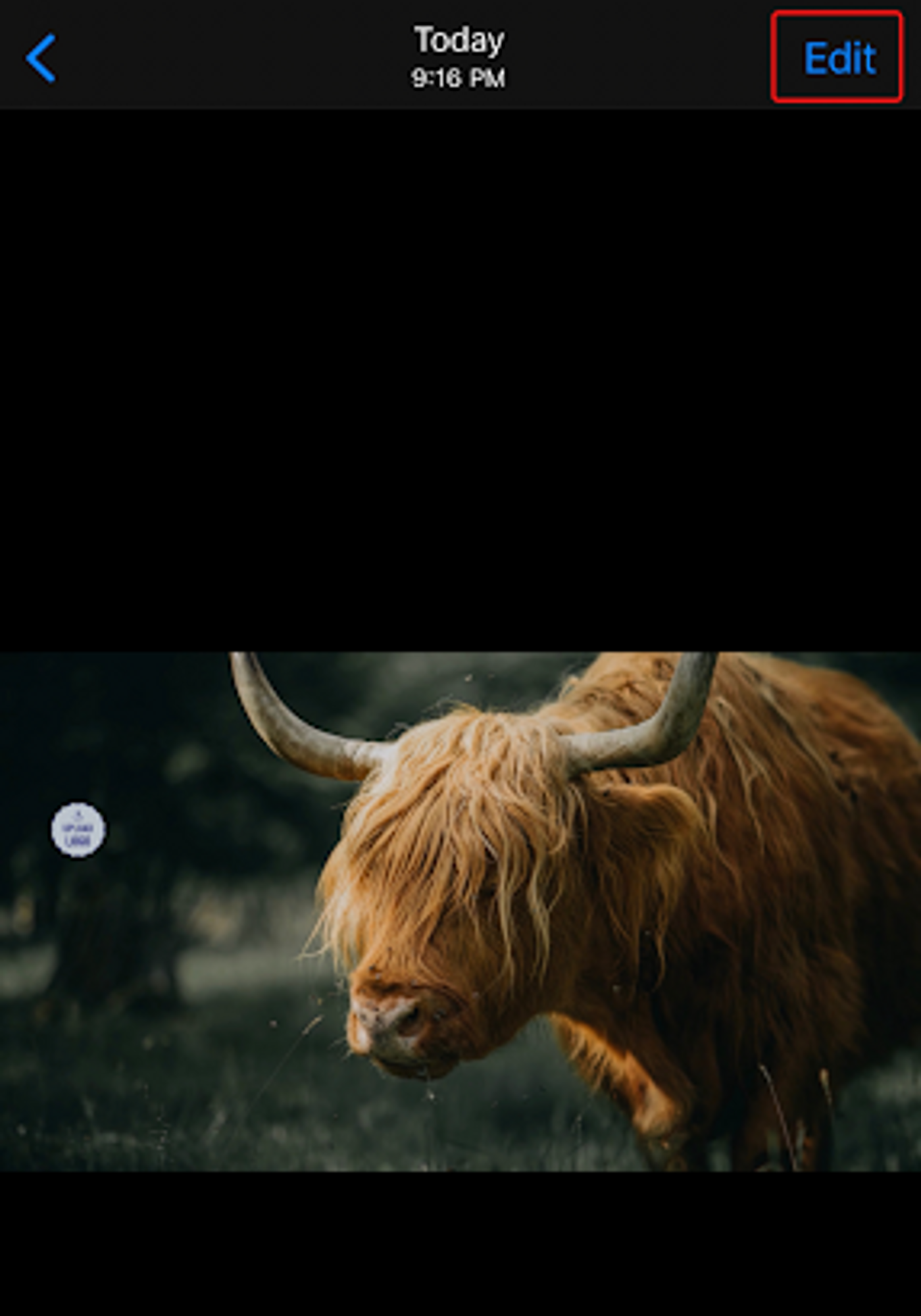 How to flip a video on an iPhone_step 2