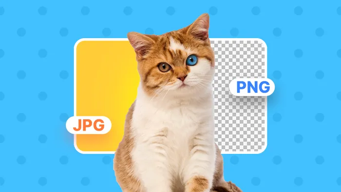 7 Super Easy Ways to Convert JPG to PNG in 2025