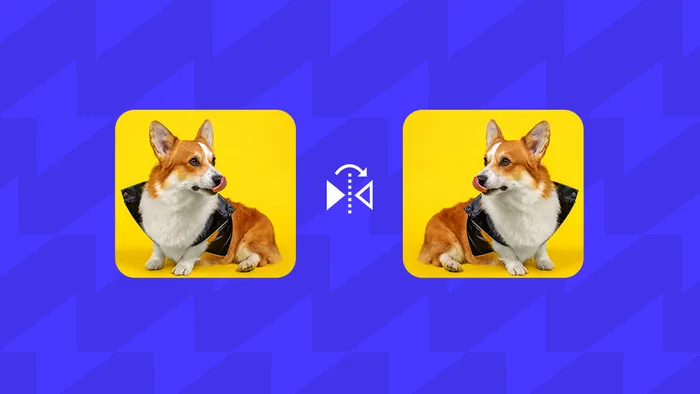 How to Flip/Mirror a Video in Under 5 Mins: 5 Easy Ways that Work in 2026
