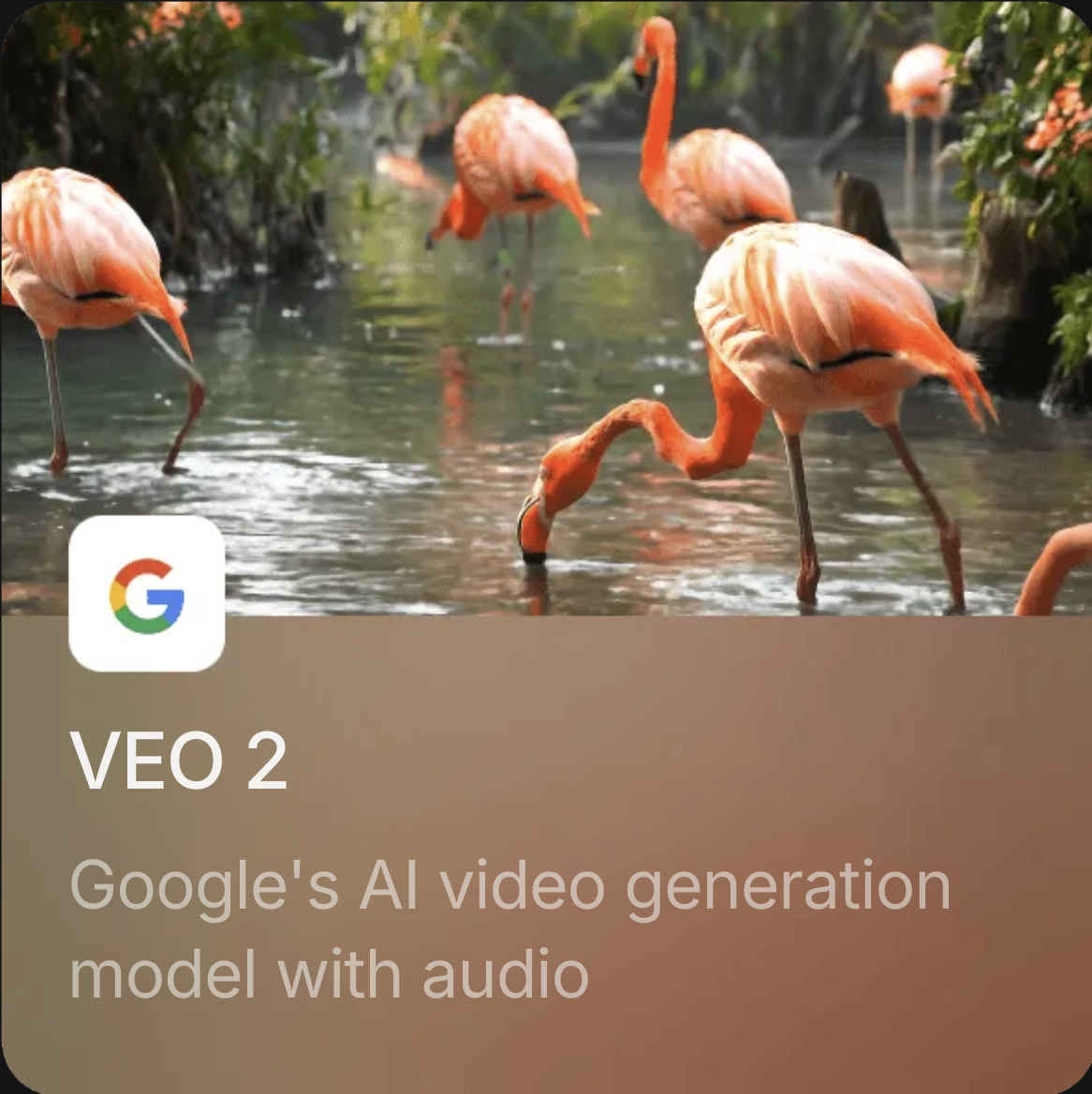 Google Veo 2