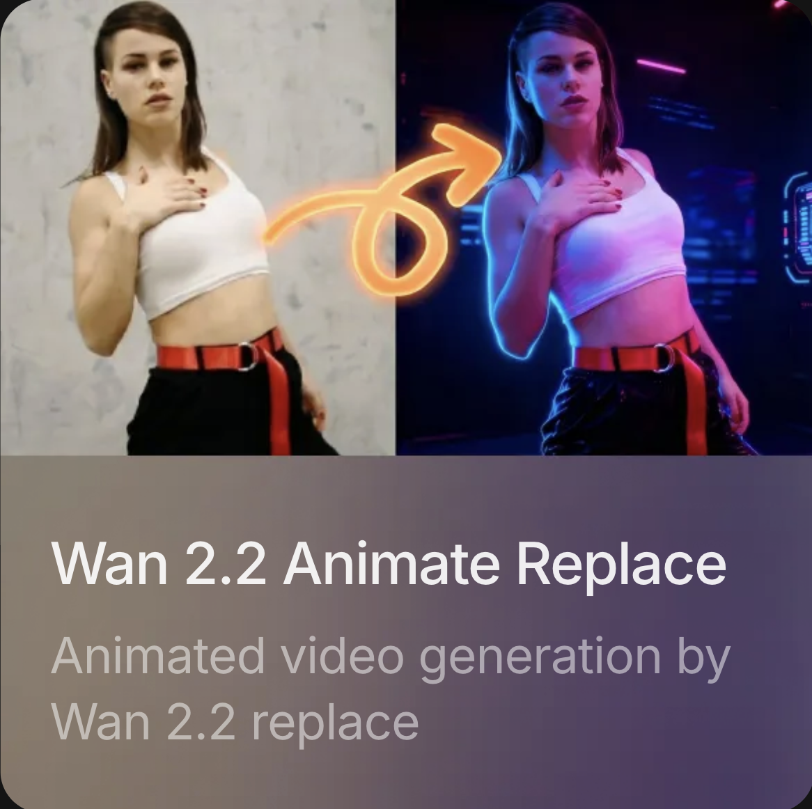 Wan 2.2 Animate Replace