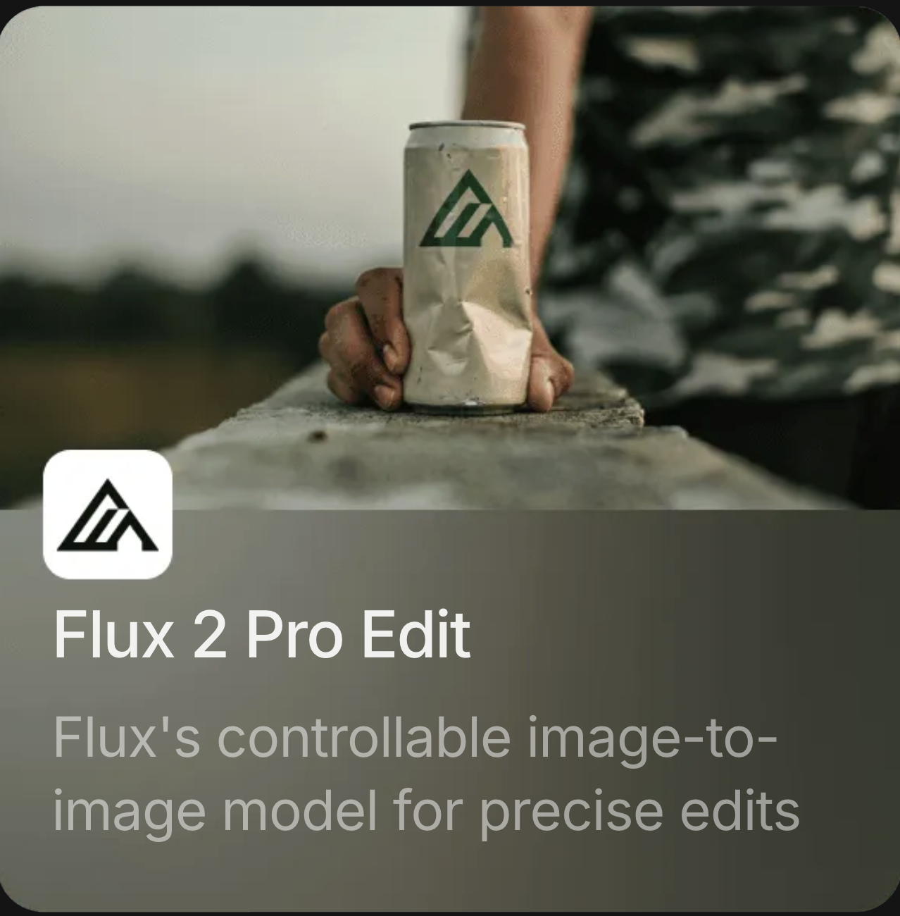 Flux 2 Pro Edit