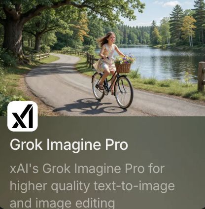 Grok Imagine Pro