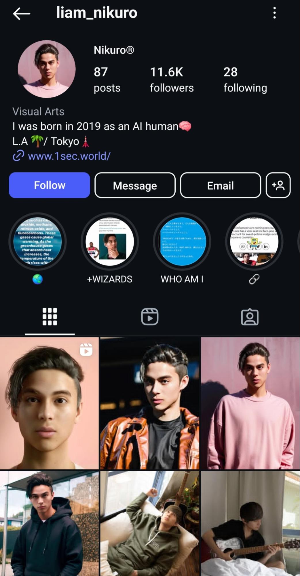 Instagram profile of Liam Nikuro