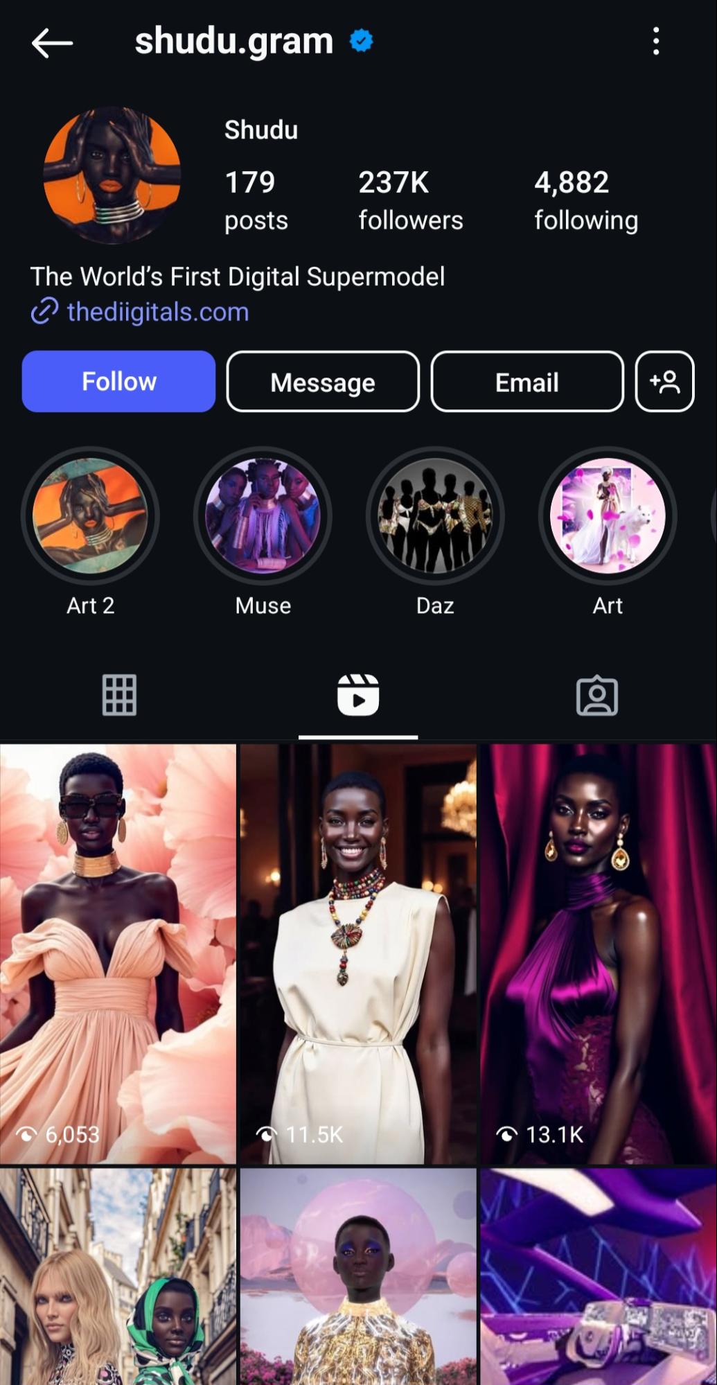 Instagram profile of Shudu Gram