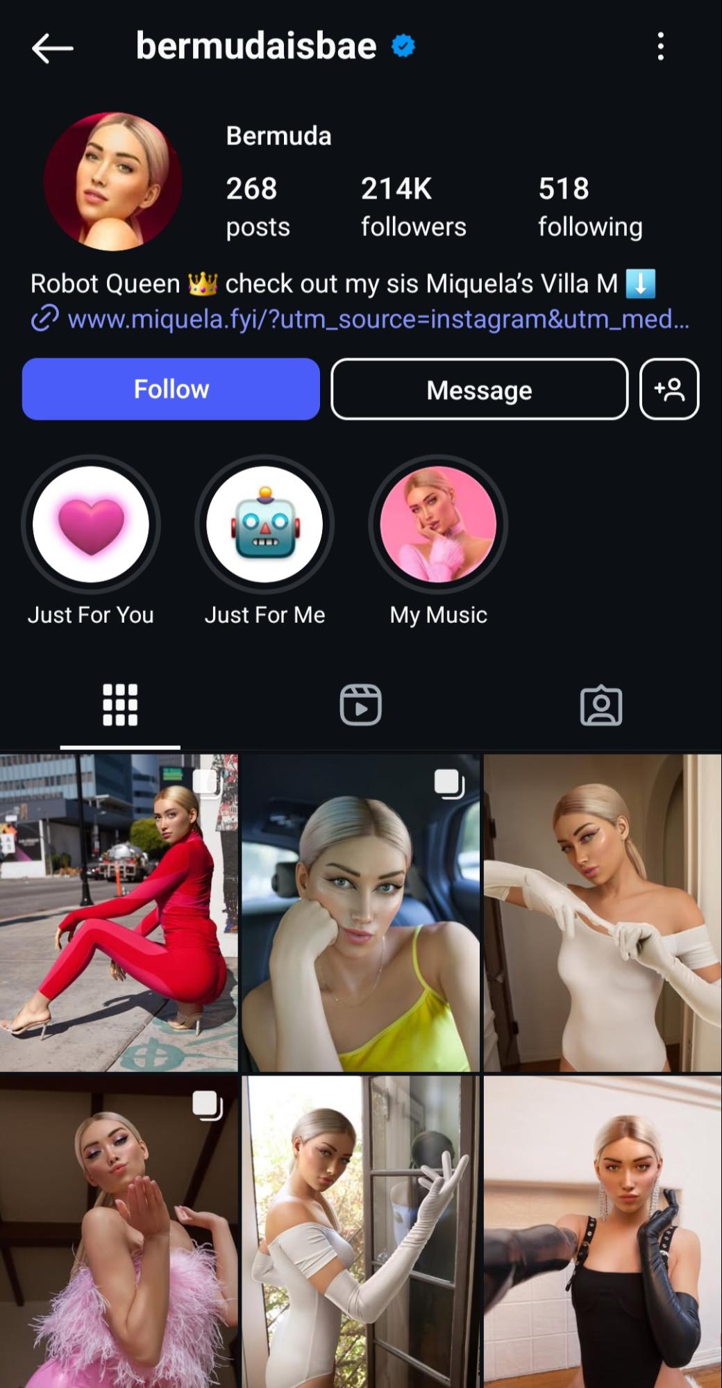 Instagram profile of Bermuda