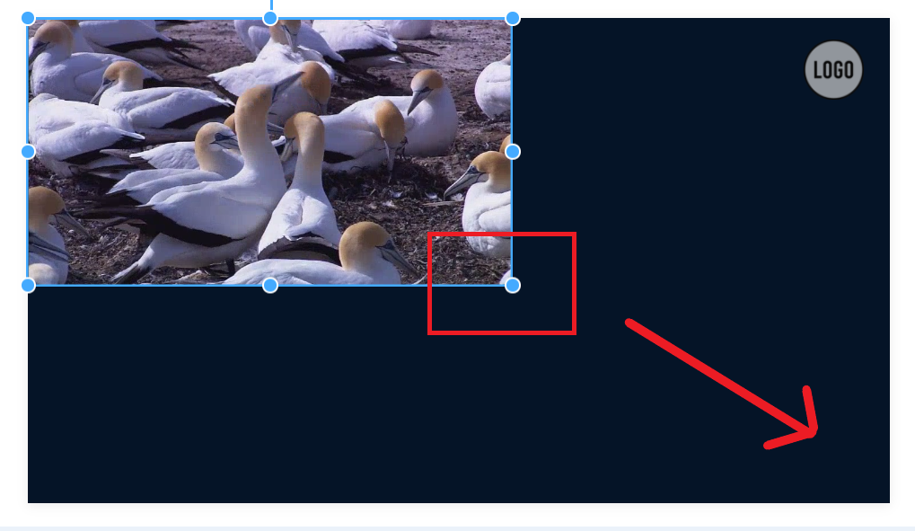 rotate videos with invideo - step6.1